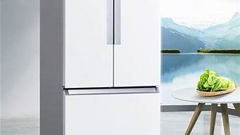 西门子冰箱质量好么_西门子冰箱好吗?