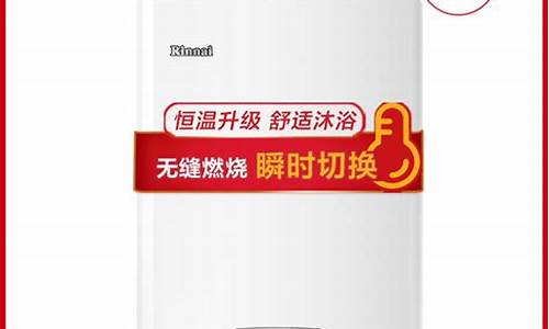 中国十大燃气热水器排名_中国十大燃气热水器排名榜